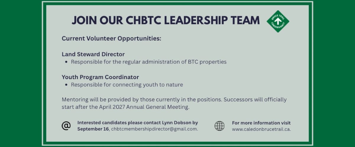 Join our Leadership team!