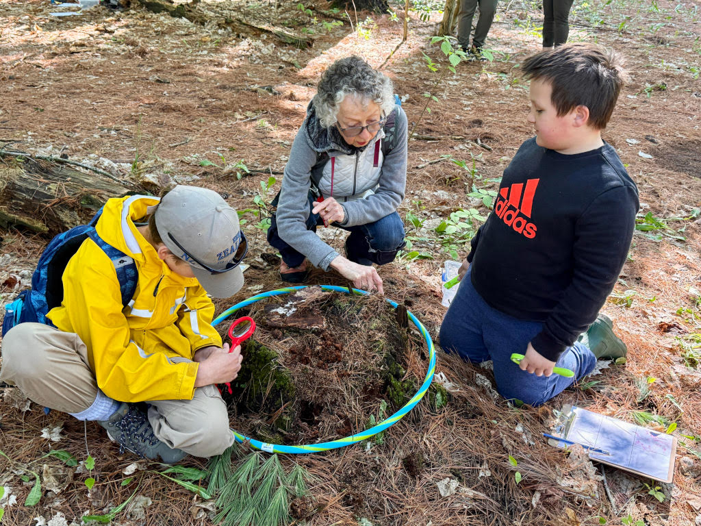 volunteer and youth