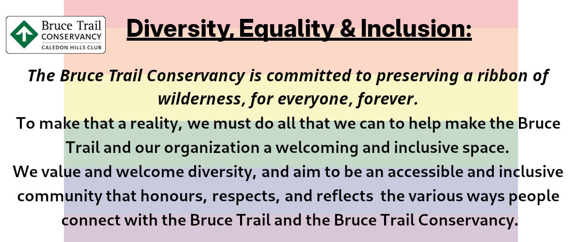Diversity, Equity & Inclusion